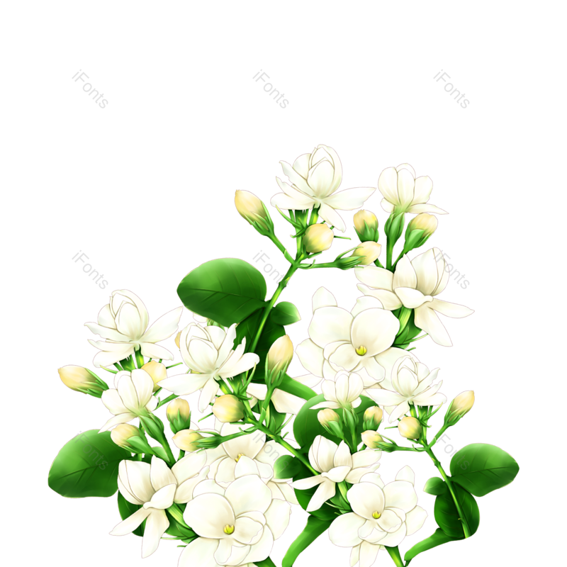 花朵图片,花朵素材元素,花朵装饰PNG,白色免抠素材